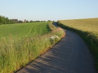 Schwaarzenhiwel über Waldbierg