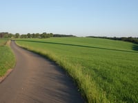 Schwaarzenhiwel über Waldbierg