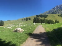 Schwägalp z Urnäsch
