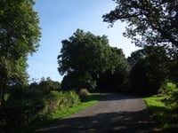Schwalert depuis Heppenbach