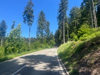Schwärzenbach da Neustadt im Schwarzwald