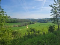 Schwarzer Mann desde Bleialf