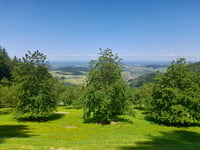 Schwend vanuit Waldulm
