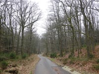 Schwerzfeld da Steinbach