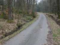 Schwerzfeld da Steinbach
