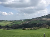 Scotaneto da Ponte degli Alberi