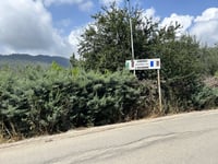 Seborga da Bordighera via Via Coggiola
