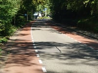 Van der Molenallee von Heveadorp