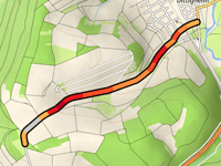 Seelesbuckel da Dittigheim