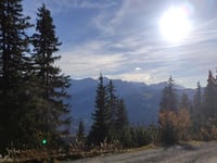 Seewle da Lenk