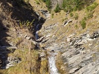 Seewle da Lenk