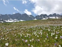 Sella Ciampigotto von Tre Ponti
