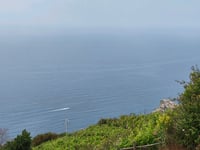 Sella Marvede from Manarola