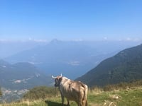 Selletta del Monte Calbiga / Rifugio Venini depuis San Fedele Intelvi