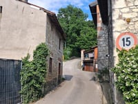 Selva Alta