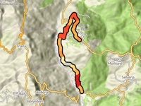 Selva por Via delle Vigne