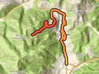 Selvarotonda via Cittareale