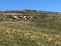 Semnoz