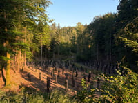 Semnoz