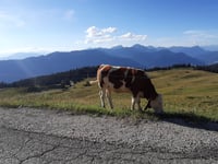 Semnoz von Col de Leschaux