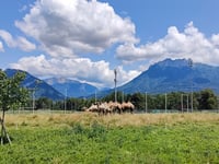 Semnoz desde Vieugy