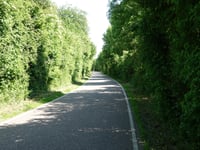 Senserbachweg von Lemiers