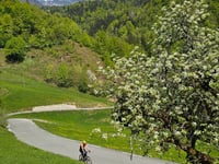Šenturška Gora depuis Tunjiška Mlaka