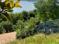 Serniga from Salò