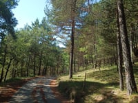 Serra de Mitges über La Corriu
