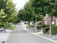 Sieberg z Daalstraat