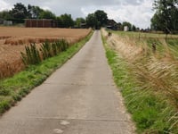 Sieberg von Vogelzangstraat