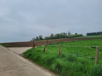 Sieberg von Vogelzangstraat