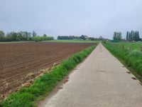 Sieberg von Vogelzangstraat