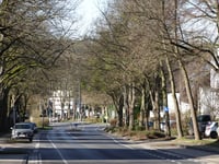 Siegelallee von Steinebrück
