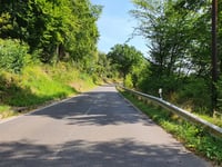 Sierscheid von Insul