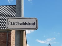 Sigarenberg von Winksele über Paardenveldstraat