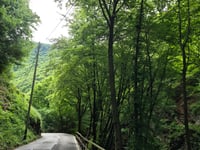 Monte Sighignola / Balcone d'Italia from Melano