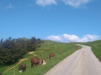 Signal de Bisanne