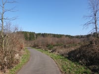 Sillebend von Zweifall
