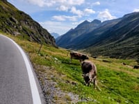 Silvretta-Hochalpenstrasse / Bielerhöhe da Gältur
