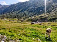Silvretta-Hochalpenstrasse / Bielerhöhe da Gältur