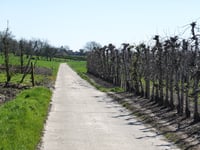 Sinckestraat von Mopertingen
