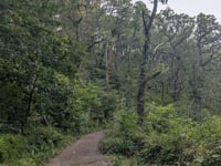 Sir Robert's Path von Woody Bay
