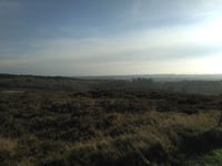 Skjernvej von Ørnhøj