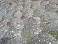 Skovbakken da Ribe Landevej