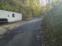 Skovbakken da Ribe Landevej