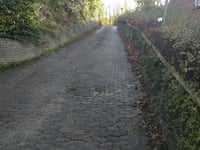 Skovbakken da Ribe Landevej