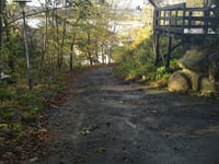 Skovbakken da Ribe Landevej