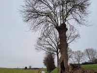 Slakweg