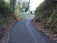 Slavante